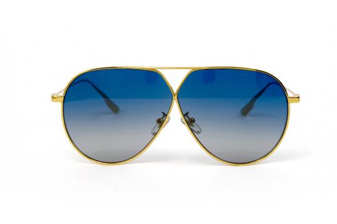 Женские очки Dior stellaire3-j5g/70-W